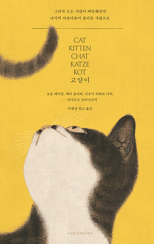 고양이 (그러자 모든 사람이 따뜻해진다 녀석의 아름다움이 불러온 사랑으로)