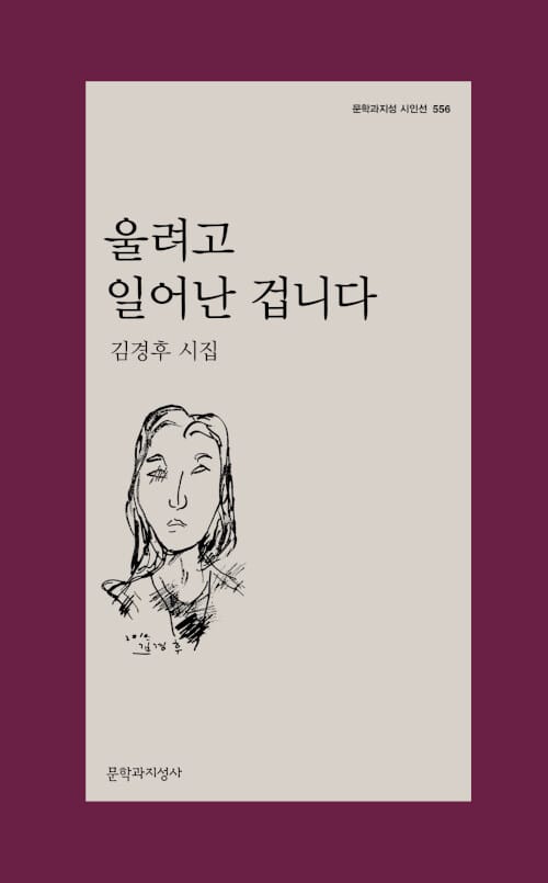 울려고 일어난 겁니다 (김경후 시집)