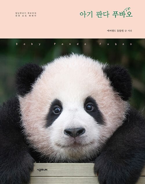 아기 판다 푸바오 (장난꾸러기 푸바오의 성장 포토 에세이)