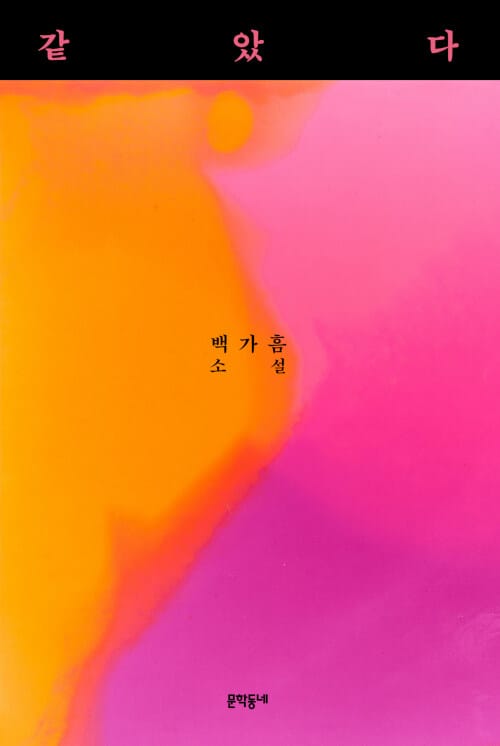 같았다 :백가흠 소설
