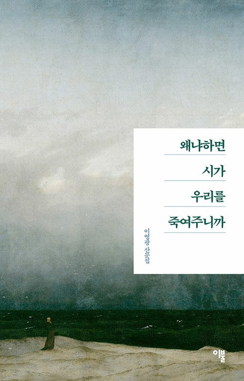 왜냐하면 시가 우리를 죽여주니까 :이영광 산문집