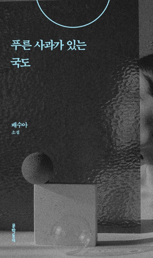 푸른 사과가 있는 국도 :배수아 소설