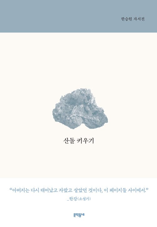 산돌 키우기 :한승원 자서전