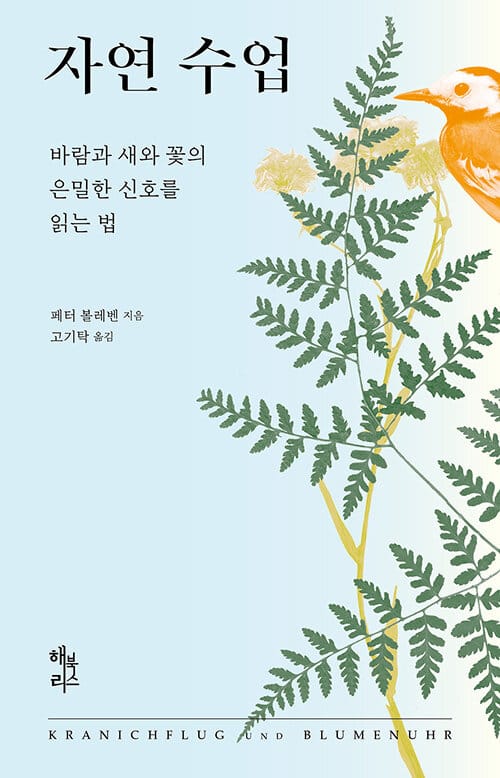 자연 수업 :바람과 새와 꽃의 은밀한 신호를 읽는 법 