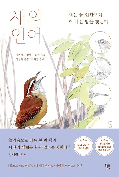 새의 언어 :새는 늘 인간보다 더 나은 답을 찾는다 