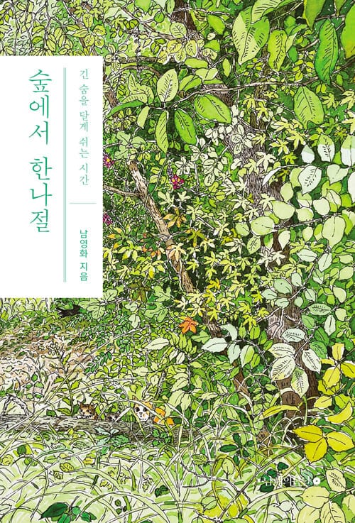 숲에서 한나절 :긴 숨을 달게 쉬는 시간