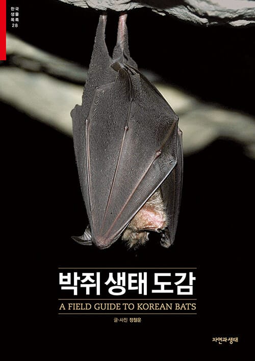 박쥐 생태 도감 =A field guide to Korean bats