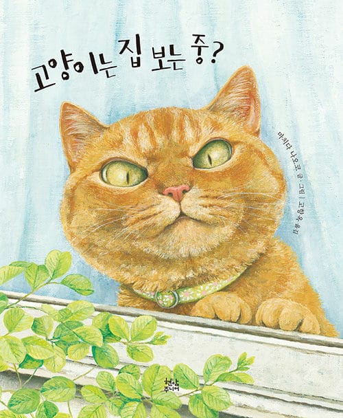 고양이는 집 보는 중? 