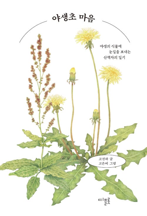 야생초 마음 :야생의 식물에 눈길을 보내는 산책자의 일기 