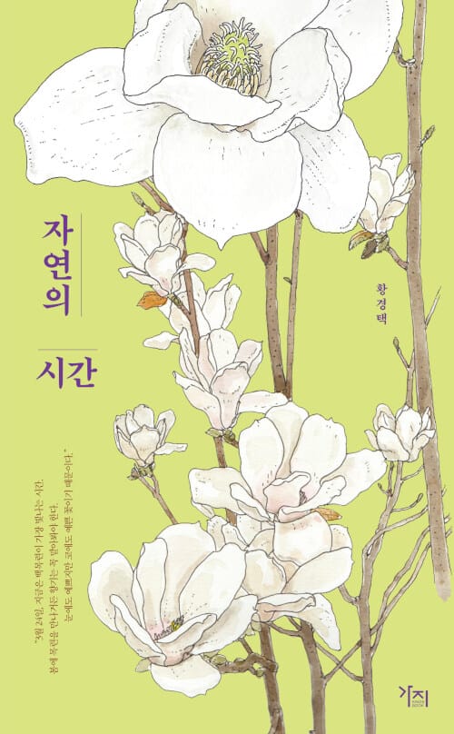자연의 시간