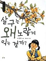 살구는 왜 노랗게 익는 걸까