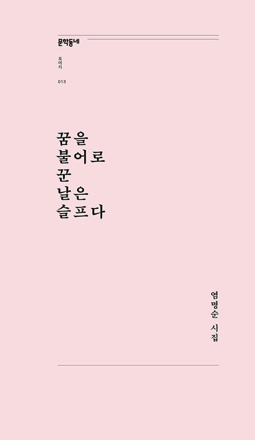 꿈을 불어로 꾼 날은 슬프다