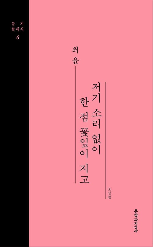 [큰글자도서] 저기 소리없이 한 점 꽃잎이 지고 (문지클래식 6)
