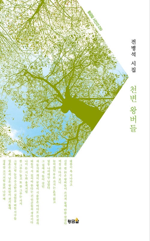 천변 왕버들 (전병석 시집)