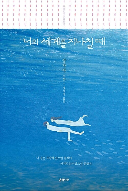너의 세계를 지나칠 때 (장자자 소설)