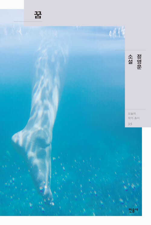 꿈 (정영문 소설)