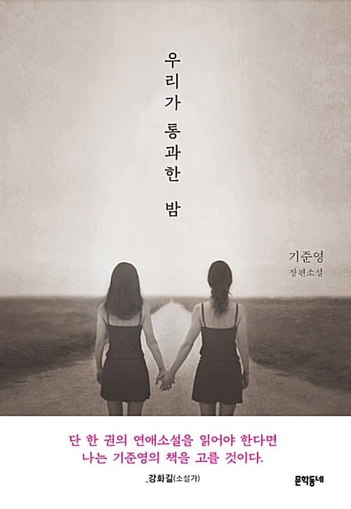 우리가 통과한 밤 (기준영 장편소설)