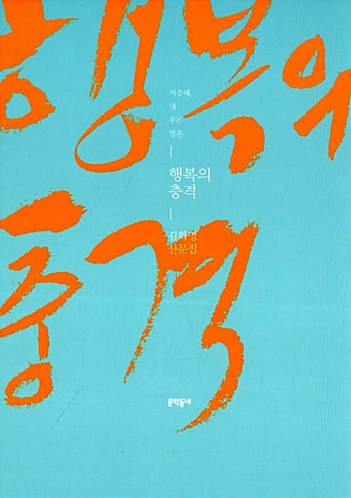 행복의 충격 (김화영 산문집)