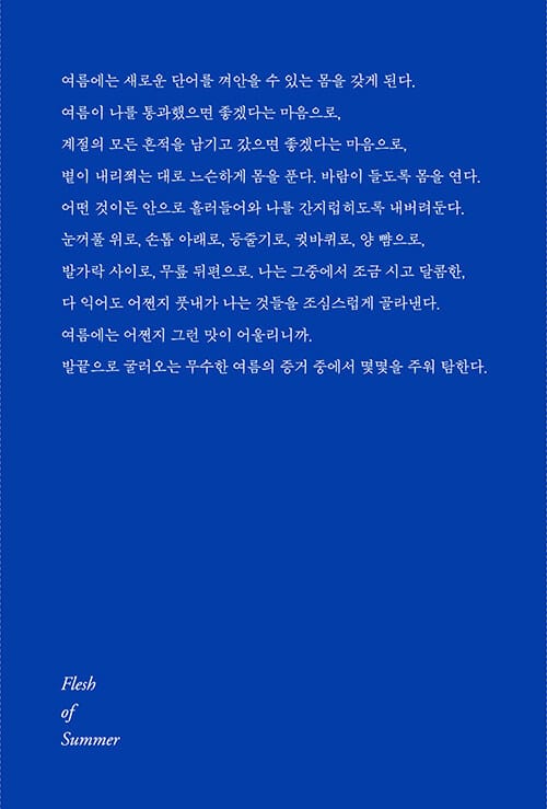 여름의 피부 (리커버) - 나의 푸른 그림에 대하여