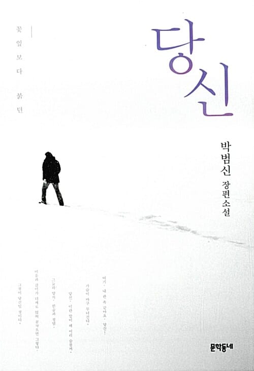 당신 (꽃잎보다 붉던 | 박범신 장편소설)