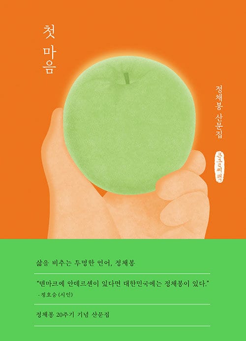 첫 마음 (큰글씨책) (정채봉 산문집)