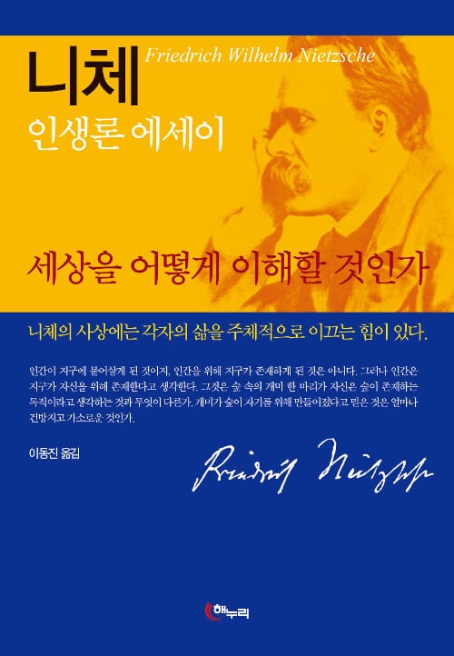 세상을 어떻게 이해할 것인가 (니체 인생론 에세이)