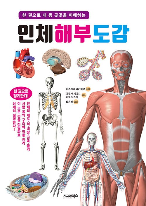 인체 해부 도감 (한 권으로 내 몸 곳곳을 이해하는)