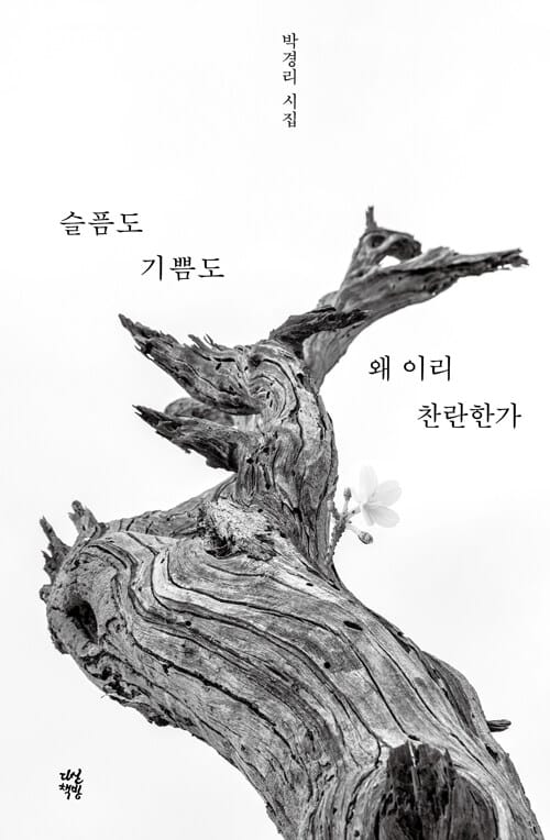 슬픔도 기쁨도 왜 이리 찬란한가