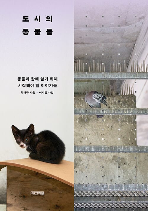 도시의 동물들 - 동물과 함께 살기 위해 시작해야 할 이야기들
