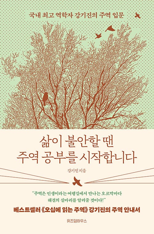 삶이 불안할 땐 주역 공부를 시작합니다 - 국내 최고 역학자 강기진의 주역 입문