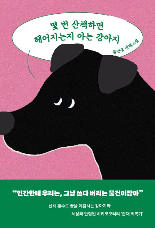 몇 번 산책하면 헤어지는지 아는 강아지