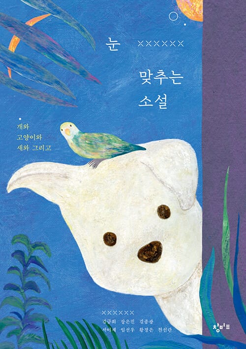 눈 맞추는 소설 - 개와 고양이와 새와 그리고
