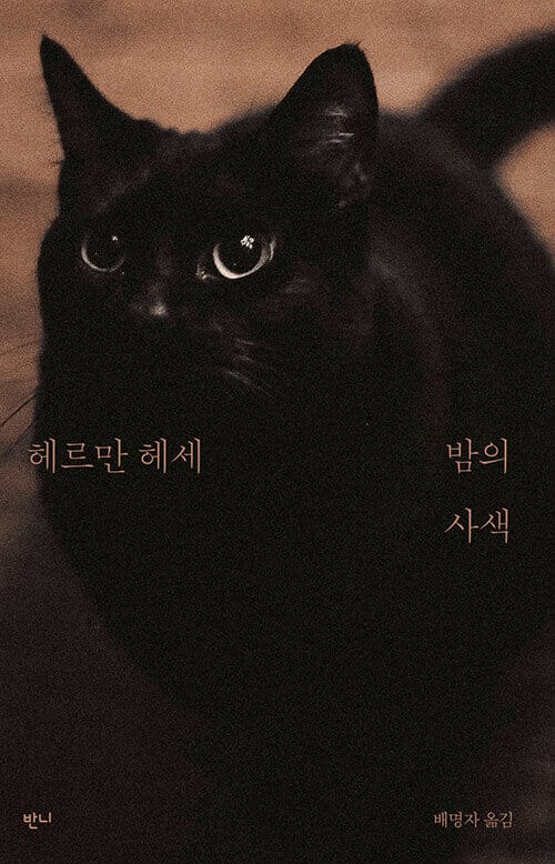 밤의 사색 - 헤르만 헤세 산문집
