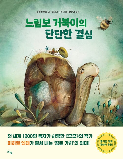 느림보 거북이의 단단한 결심