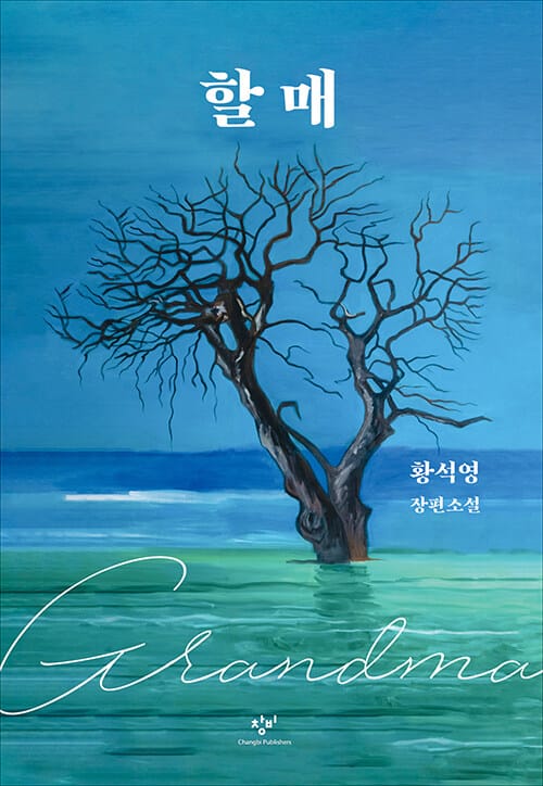[큰글자도서] 할매
