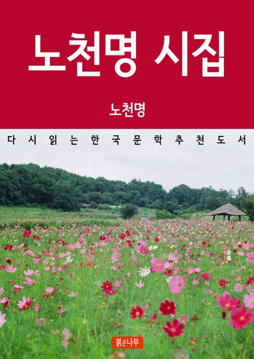 노천명 시집