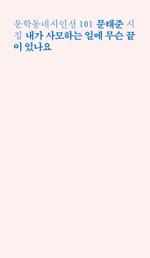 내가 사모하는 일에 무슨 끝이 있나요 - 문학동네시인선 101