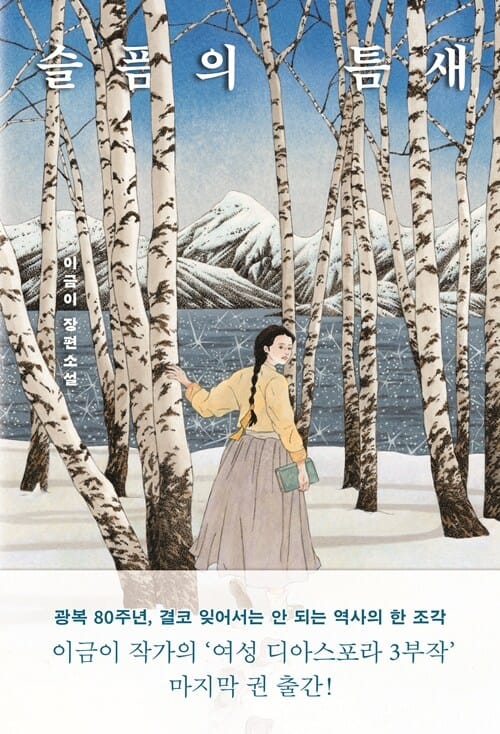[큰글자도서] 슬픔의 틈새 1