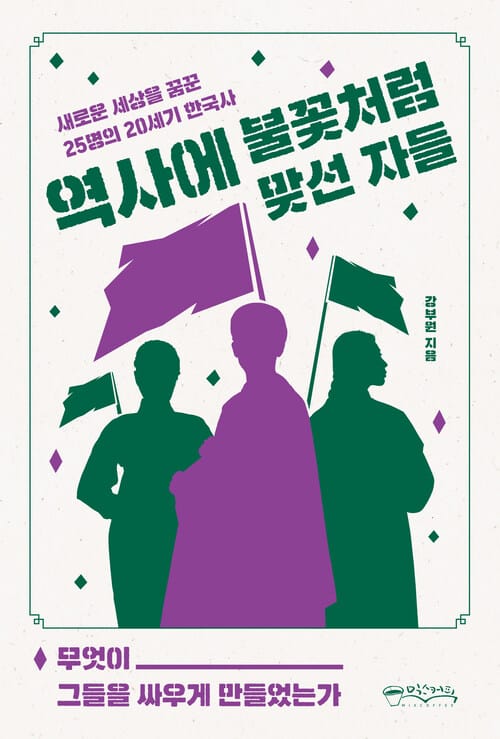 역사에 불꽃처럼 맞선 자들 - 새로운 세상을 꿈꾼 25명의 20세기 한국사