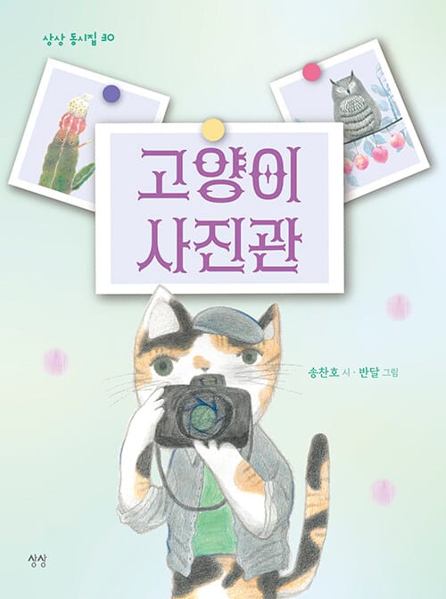 고양이 사진관