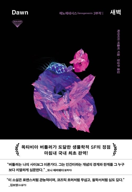 새벽