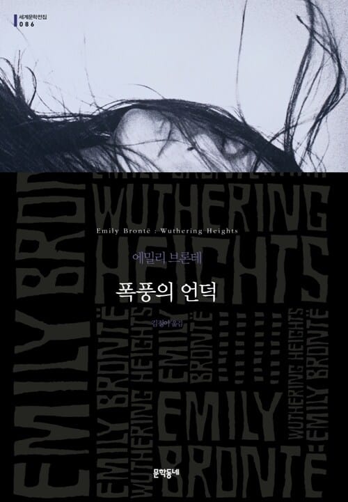 폭풍의 언덕