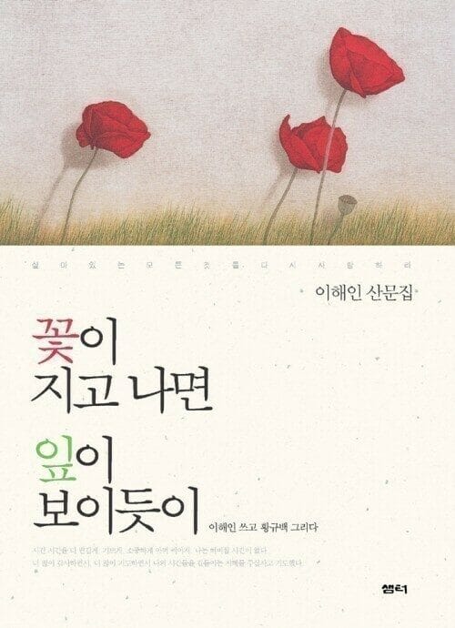 꽃이 지고 나면 잎이 보이듯이 - 이해인 산문집