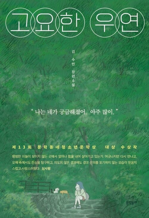 고요한 우연 - 제13회 문학동네청소년문학상 대상 수상작