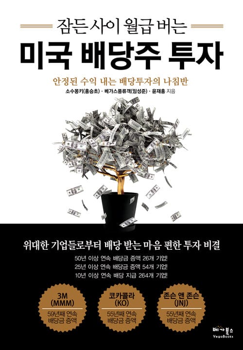 잠든 사이 월급 버는 미국 배당주 투자 - 안정된 수익 내는 배당투자의 나침반