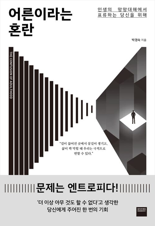 어른이라는 혼란 - 인생의 망망대해에서 표류하는 당신을 위해