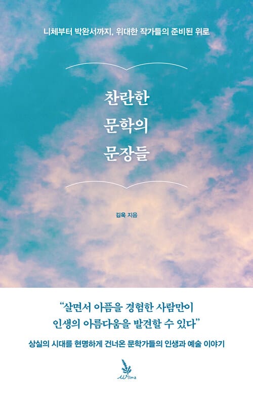 찬란한 문학의 문장들 - 니체에서 박완서까지, 위대한 작가들의 준비된 위로