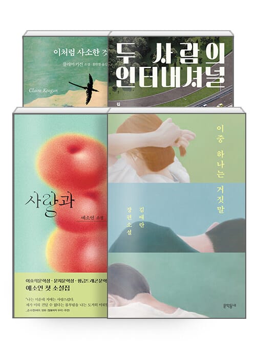 [세트] 2024 소설가 50인이 뽑은 올해의 소설 - 전4권 - 이중 하나는 거짓말 + 두 사람의 인터내셔널 + 사랑과 결함 + 이처럼 사소한 것들