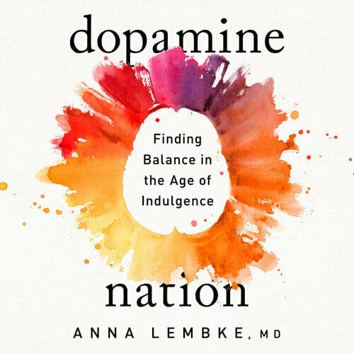 Dopamine Nation: Finding Balance in the Age of Indulgence - 『도파민네이션』원서