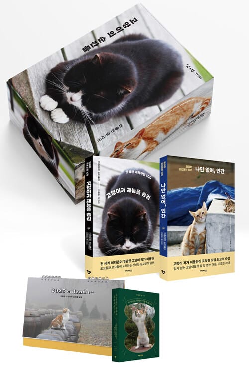 고양이의 순간들 세트 - 전2권 - 식빵고양이 박스 + (1권)고양이가 재능을 숨김 + (2권)나만 없어, 인간 + 이 아이는 자라서 이렇게 됩니다 리커버 미니북 + 2025 달력